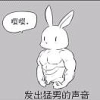 白小白