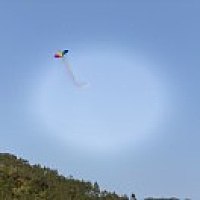 AAA 滋补汤料招代理