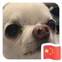 包子