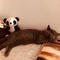 玛丽頞
