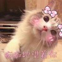 慧