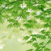 小酒窝