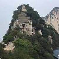 漂泊[帖主]