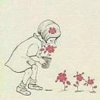 🌈花开四季🌹🌼
