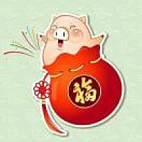 乖乖猪