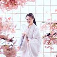 一帆风顺