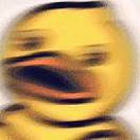 霜序十六