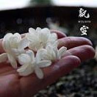 绯樱🌸