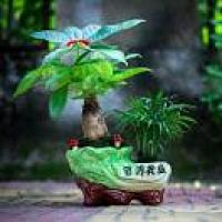 幸福的小天使