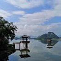 平安熊玉兰～招募中