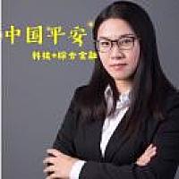 AA平安小华-科技 综合金融