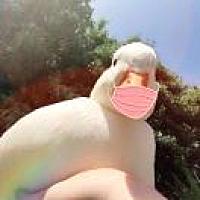 宝宝好运