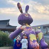 洋洋洋洋洋洋妈