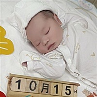 陈洁纯