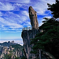 黑🐒