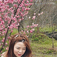 生如夏花之