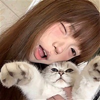 武士猫