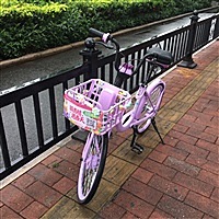 吉他小姐