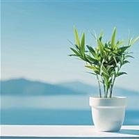 心理医生